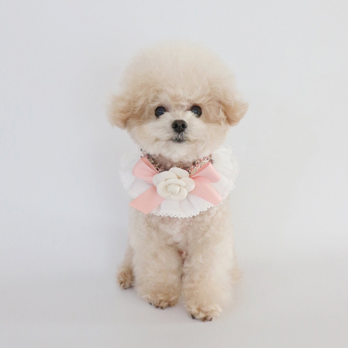 Camellia Flower Cape