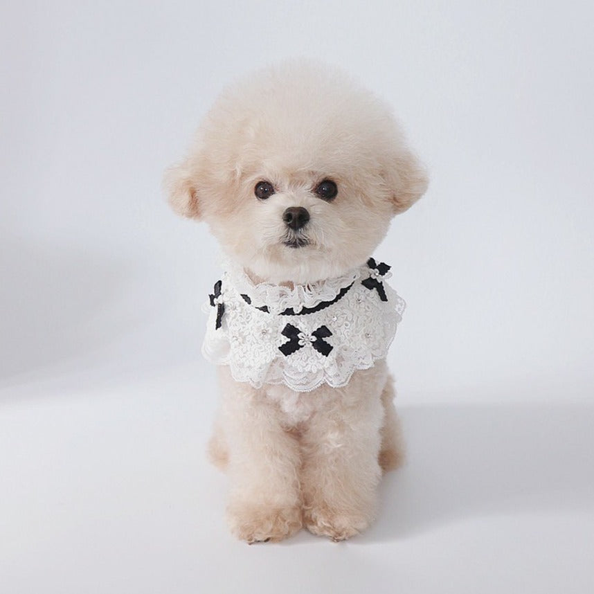 White Lace Cape