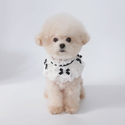 White Lace Cape