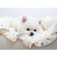 Jelly Bear Organic Cotton Bed