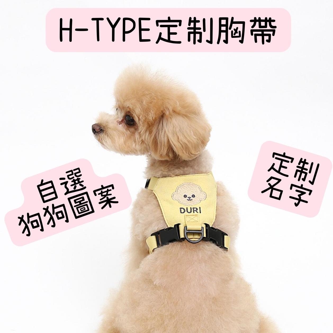 H-Type Custom Harness