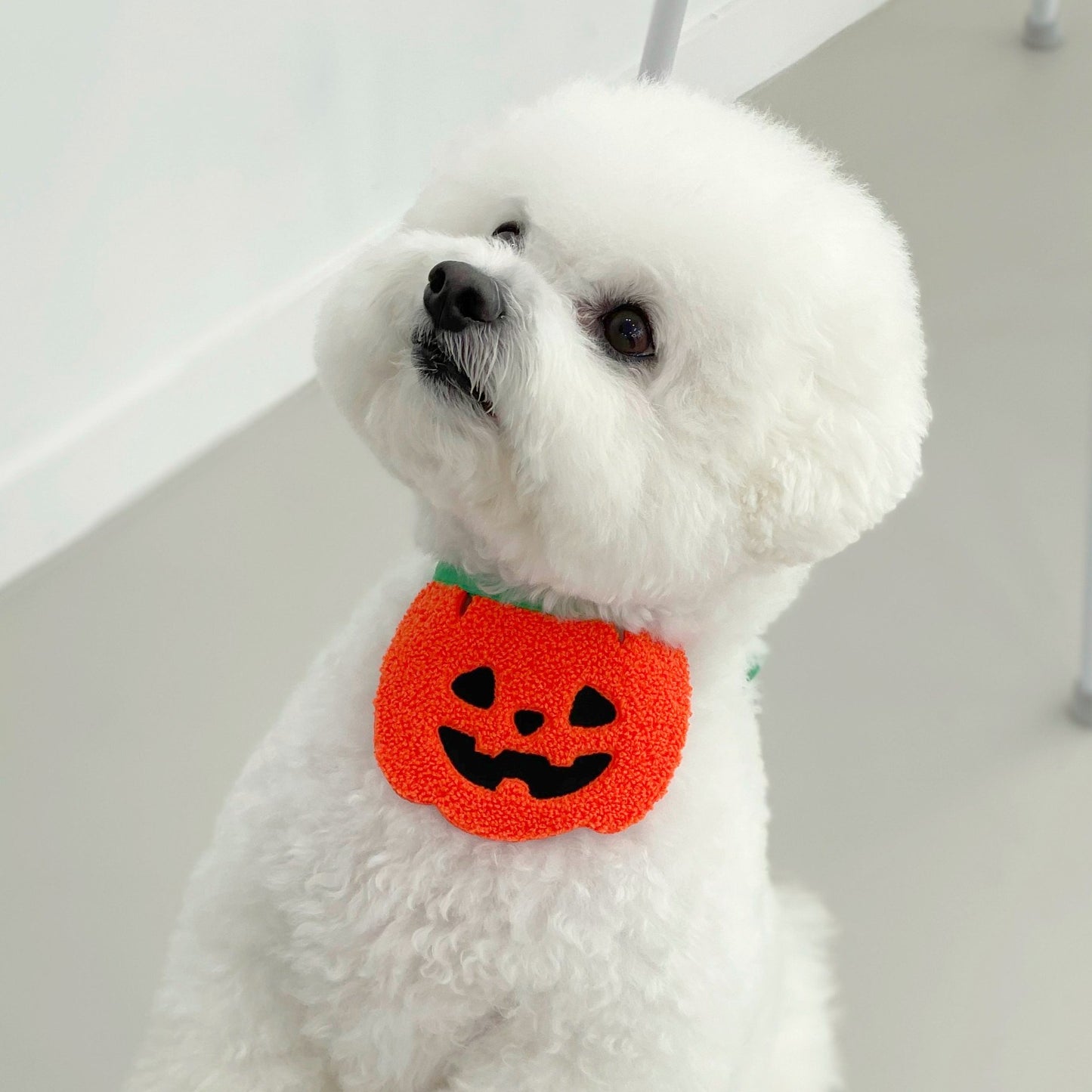 Halloween Bib