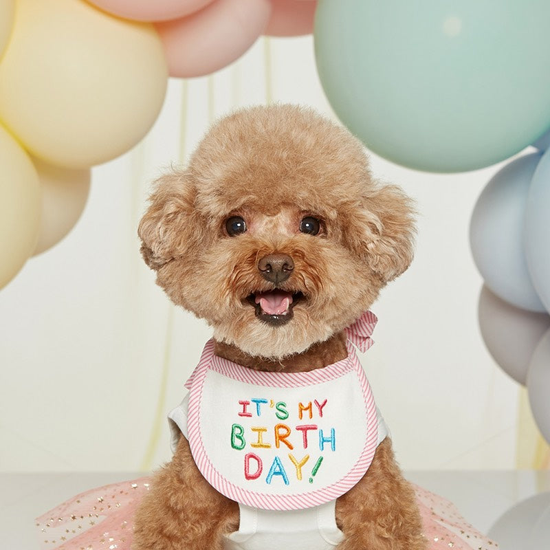 生日口水肩