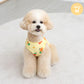 Soft Bebe Fur Vest Jacket