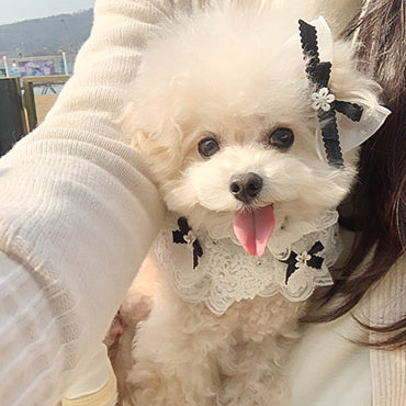 White Bow Hairpin