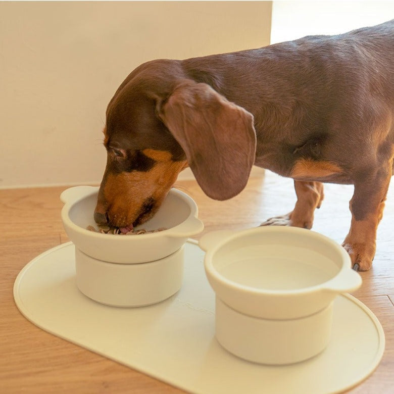 Adjustable Elevated Silicone Bowl