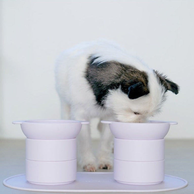 Adjustable Elevated Silicone Bowl