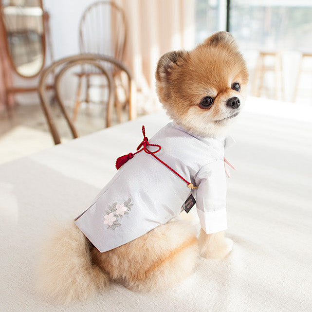 Choa Prince Hanbok