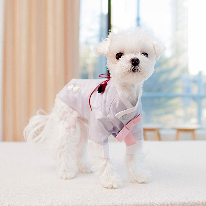 Choa Prince Hanbok