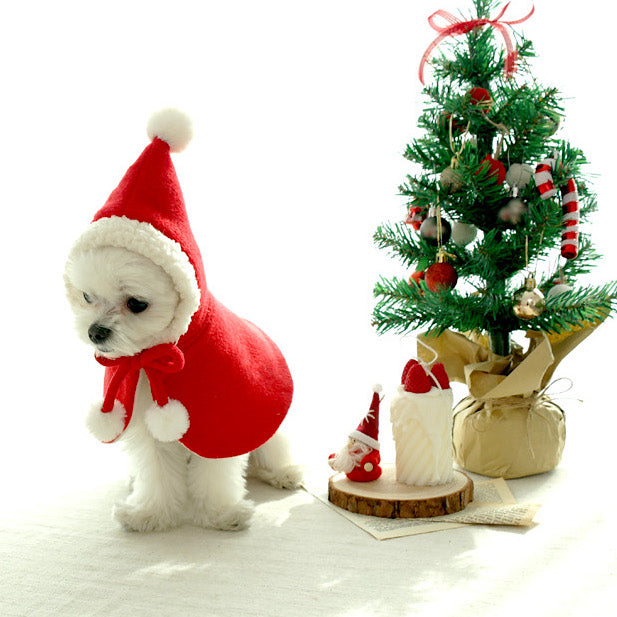Santa Cape