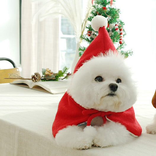 Santa Cape
