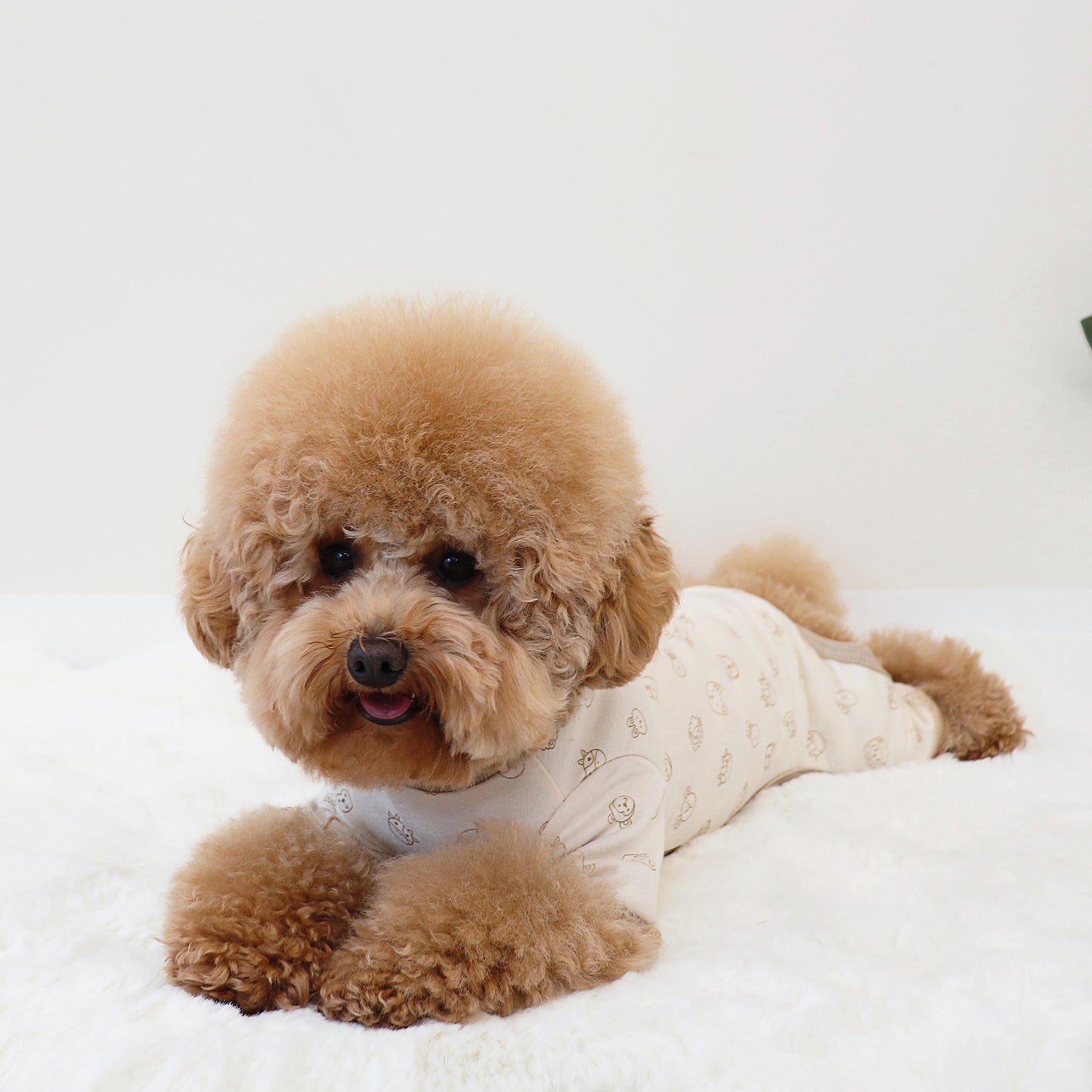 Bebe Organic Cotton All In One