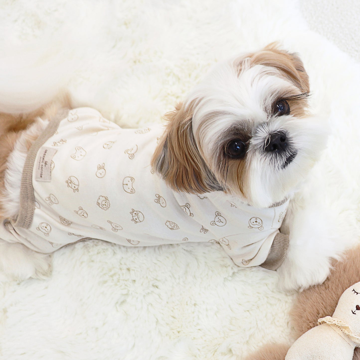 Bebe Organic Cotton All In One