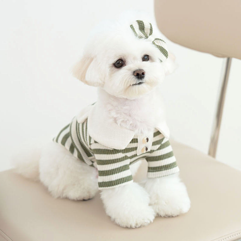 Waffle Bear Collar Tee