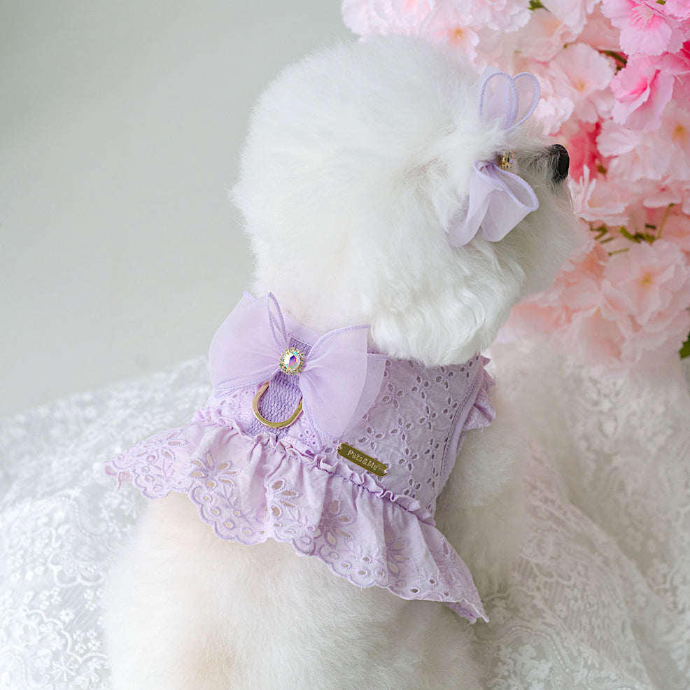 Punching Lace Harness (7 colors)