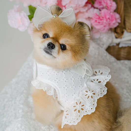 Punching Lace Harness (7 colors)