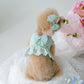 Punching Lace Harness (7 colors)