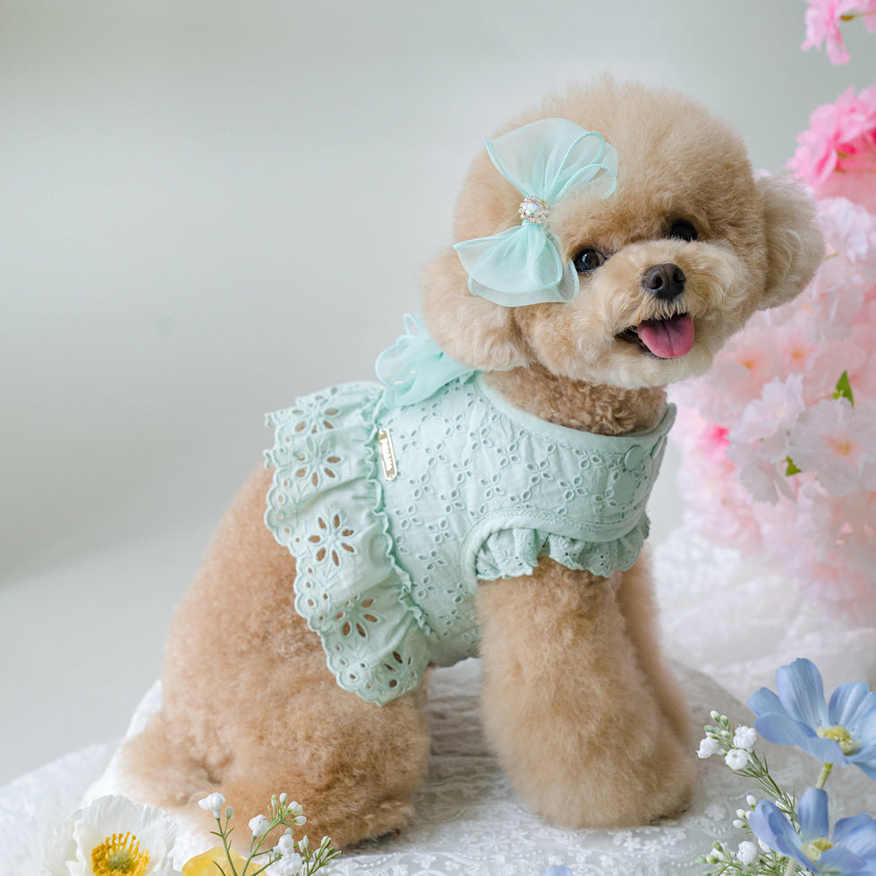 Punching Lace Harness (7 colors)