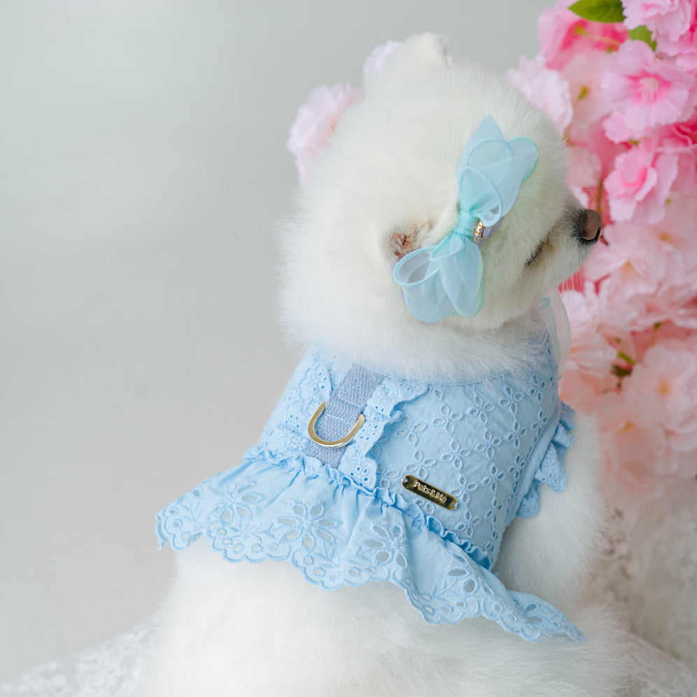 Punching Lace Harness (7 colors)