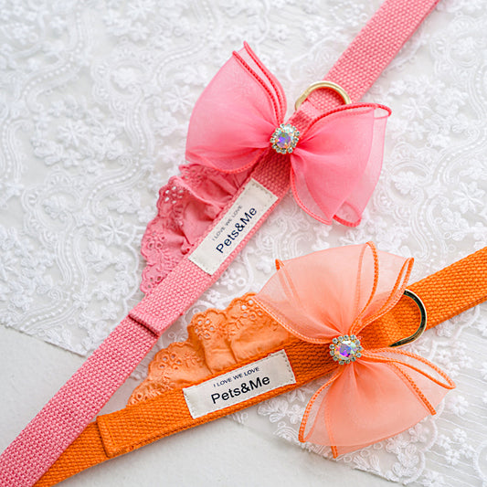 Leash (Pair with Punching Lace Harness)