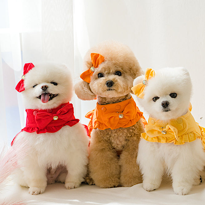 Golden Puppy Corduroy Harness (7 colors)