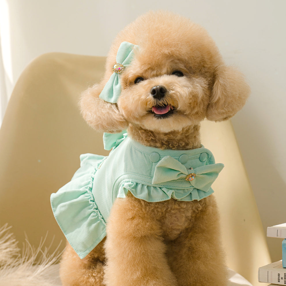 Golden Puppy Corduroy Harness (7 colors)