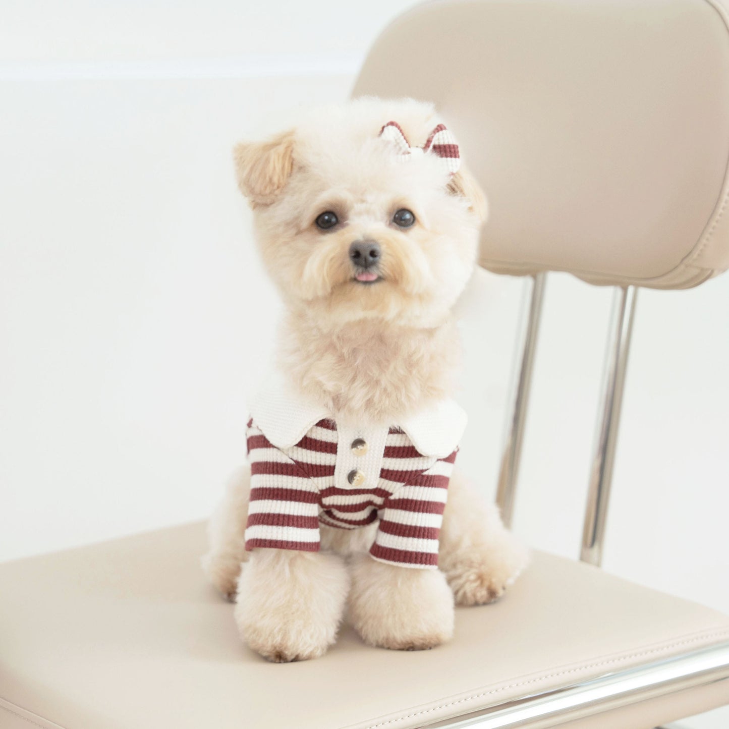 Waffle Bear Collar Tee