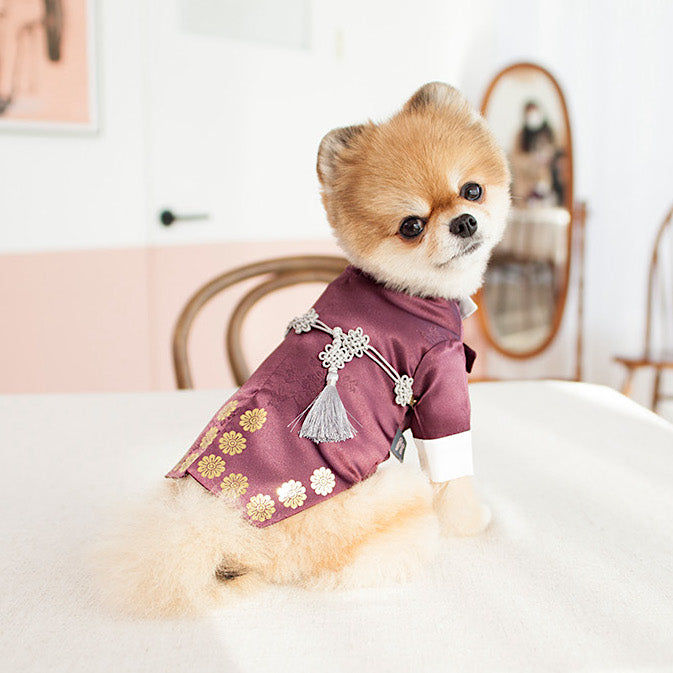 Coco Prince Hanbok