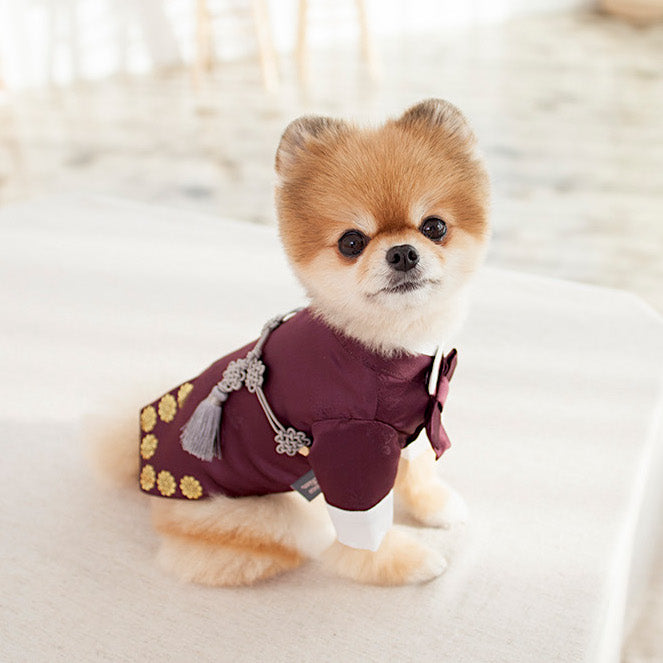 Coco Prince Hanbok