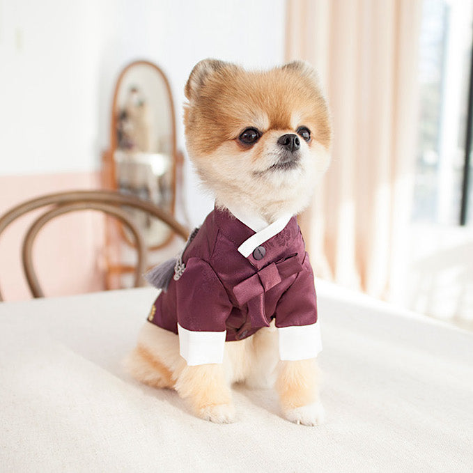 Coco Prince Hanbok