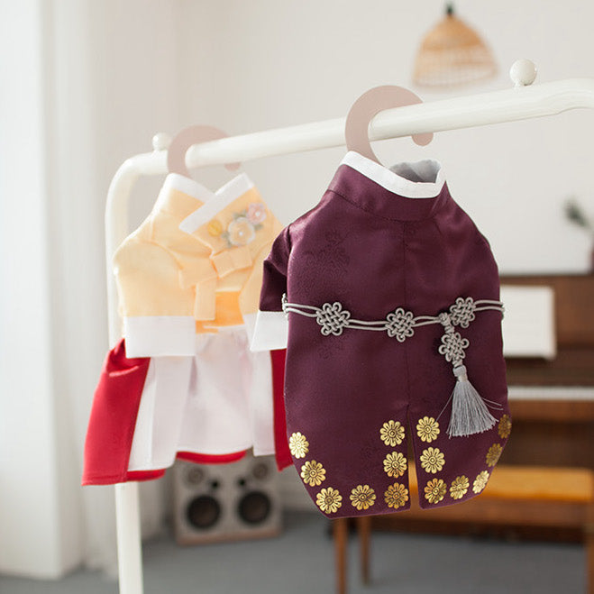 Coco Prince Hanbok
