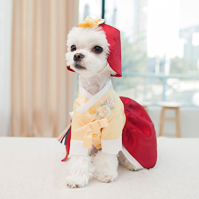 Coco Princess Hanbok