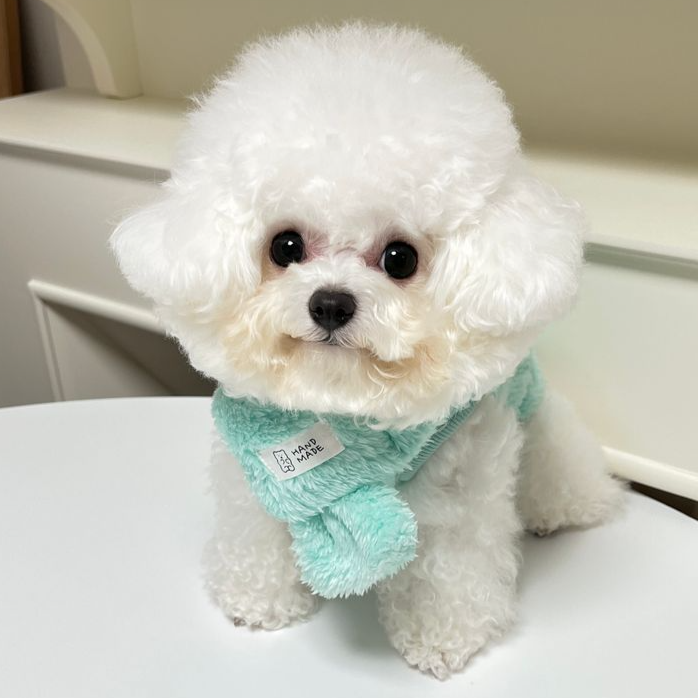 Gummy Bear Scarf