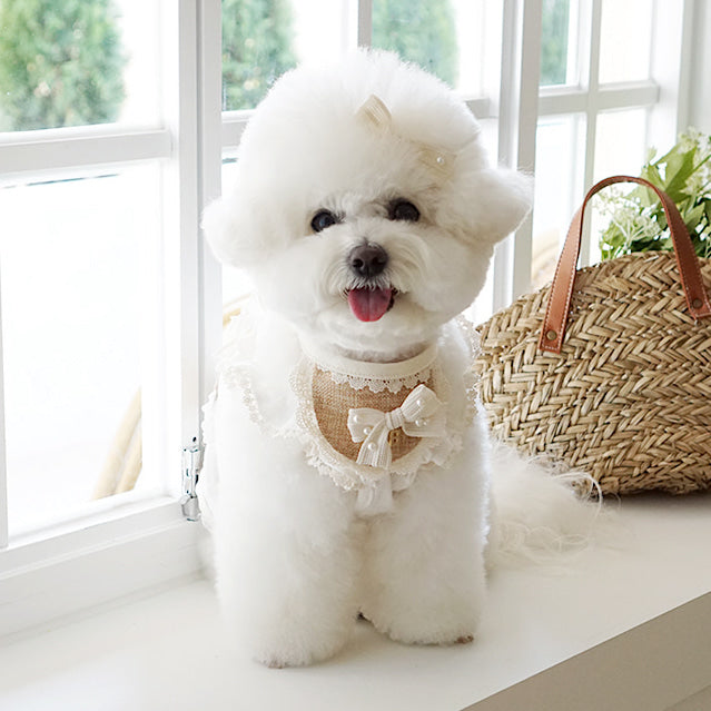 French Lace Ribbon Bib